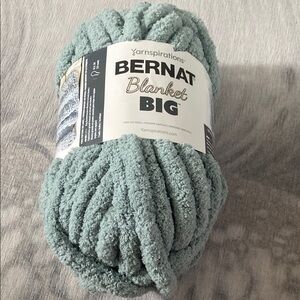 🔥CLOSEOUT🔥 2 for 1! Bernat Blanket Big Yarn in Misty Green